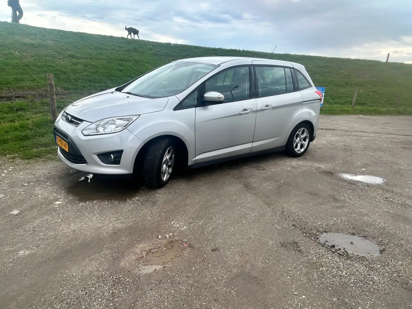 Ford Grand C-Max 1.0 Lease Trend Argent - 1