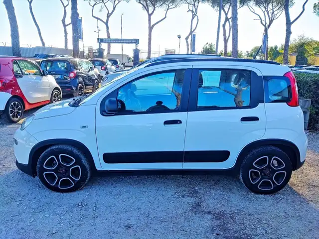Fiat Panda view 4