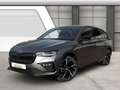 Skoda Kamiq 1.5TSI Monte Carlo Pano Matrix 18" AHK Grau - thumbnail 1