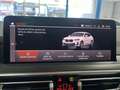 BMW X4 xDrive 20dA xLine M Sport Blanco - thumbnail 26
