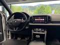 Skoda Karoq Sportline 4x4,AHK,AMBIENTE,DSG,ASSISTENTEN Weiß - thumbnail 13