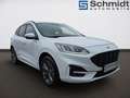 Ford Kuga 2,0 EcoBlue AWD ST-Line Aut. Weiß - thumbnail 5