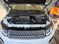 Land Rover Range Rover Evoque Range Rover Evoque 2.0eD4 Pure 2WD 150 Pure Blanco - thumbnail 8