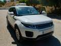 Land Rover Range Rover Evoque Range Rover Evoque 2.0eD4 Pure 2WD 150 Pure Blanco - thumbnail 5