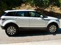 Land Rover Range Rover Evoque Range Rover Evoque 2.0eD4 Pure 2WD 150 Pure Blanco - thumbnail 4