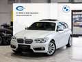 BMW 120 120d xDrive Urban Kamera Harman Glasdach ACC Weiß - thumbnail 1