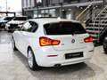 BMW 120 120d xDrive Urban Kamera Harman Glasdach ACC Weiß - thumbnail 10