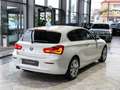 BMW 120 120d xDrive Urban Kamera Harman Glasdach ACC Weiß - thumbnail 9