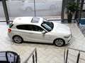 BMW 120 120d xDrive Urban Kamera Harman Glasdach ACC Weiß - thumbnail 7