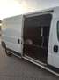 Fiat Ducato 35 2300 MJT RESTYLING 140CV LH2 CARPLAY PDC ITALIA Bianco - thumbnail 12