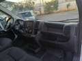 Fiat Ducato 35 2300 MJT RESTYLING 140CV LH2 CARPLAY PDC ITALIA Bianco - thumbnail 7