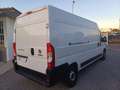 Fiat Ducato 35 2300 MJT RESTYLING 140CV LH2 CARPLAY PDC ITALIA Bianco - thumbnail 4