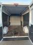 Fiat Ducato 35 2300 MJT RESTYLING 140CV LH2 CARPLAY PDC ITALIA Bianco - thumbnail 13