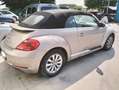 Volkswagen Maggiolino Cabrio 1.6 tdi 105cv - COMMERCIANTI - Grigio - thumbnail 3