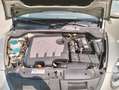 Volkswagen Maggiolino Cabrio 1.6 tdi 105cv - COMMERCIANTI - Grigio - thumbnail 11