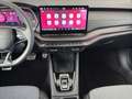 Skoda Octavia 4x4 Sportline TSI DSG Grau - thumbnail 10