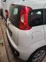 Fiat Panda 1.3 MJT 80 CV S&S Easy Blanc - thumbnail 6