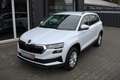 Skoda Karoq Skoda Karoq Selection 1.5 TSI 110kW/150PS, DSG Weiß - thumbnail 1