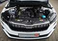 Skoda Karoq Skoda Karoq Selection 1.5 TSI 110kW/150PS, DSG Weiß - thumbnail 18