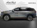 Skoda Kodiaq Selection 2,0 TDI 142 kW 7-Gang-DSG 4x4 Grau - thumbnail 2