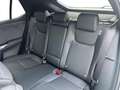 Lexus RZ F-Sport + Dimming Panoroof Grau - thumbnail 8