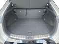 Lexus RZ F-Sport + Dimming Panoroof Grau - thumbnail 25