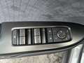 Lexus RZ F-Sport + Dimming Panoroof Grau - thumbnail 18