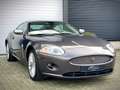 Jaguar XK 3.5 V8 Coupé / YOUNGTIMER / XK SPECIALIST Gris - thumbnail 16
