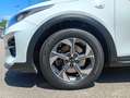 Kia XCeed 1.0 t-gdi Style Gpl 111cv Wit - thumbnail 21