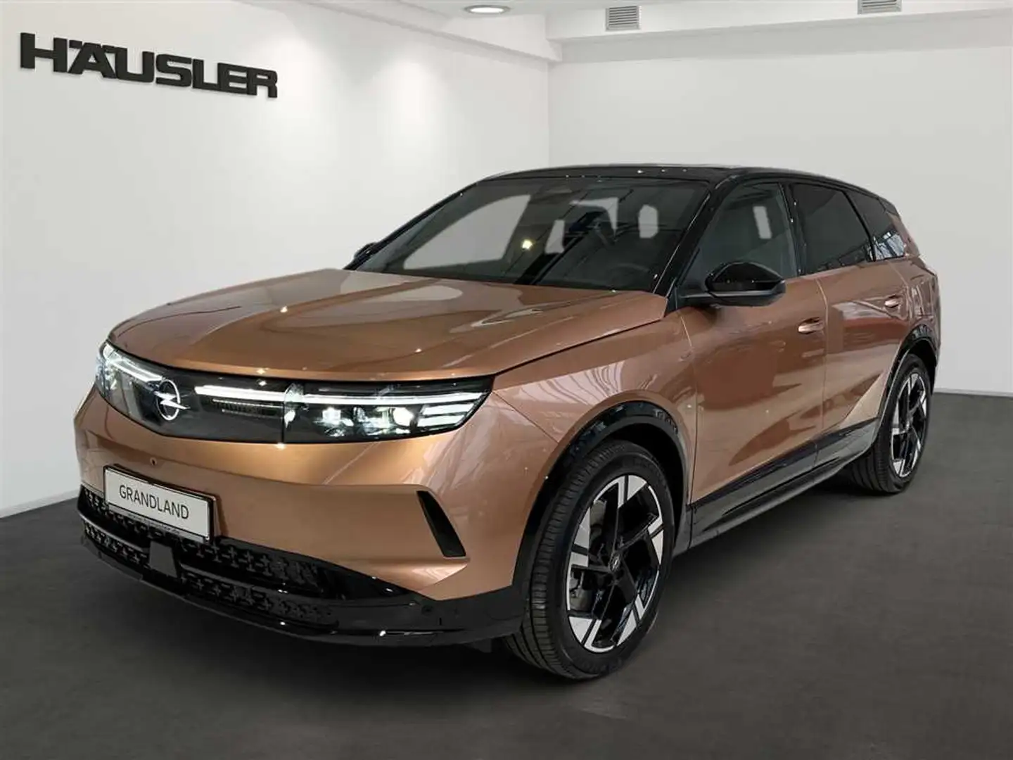 Opel Grandland X Electric GS *Head-Up*Navi*Matrix*PDC* brončana - 1