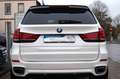 BMW X5 xDrive 40d Sport-Automatik M-Paket aus 2.Hand Blanc - thumbnail 7