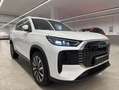 Ebro s800 1.5 TGDI PHEV LUXURY E-CVT 5P 7 Plazas Weiß - thumbnail 19