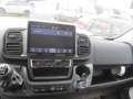 Fiat Ducato Junge Koffer Automatik Getriebe Blanc - thumbnail 8