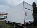 Fiat Ducato Junge Koffer Automatik Getriebe Blanc - thumbnail 3
