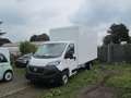 Fiat Ducato Junge Koffer Automatik Getriebe Blanc - thumbnail 2