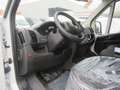 Fiat Ducato Junge Koffer Automatik Getriebe Blanc - thumbnail 5