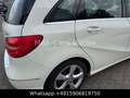 Mercedes-Benz B 180 CDI/Navi/Klimaau/PDC/Leder/E5 Blanco - thumbnail 5