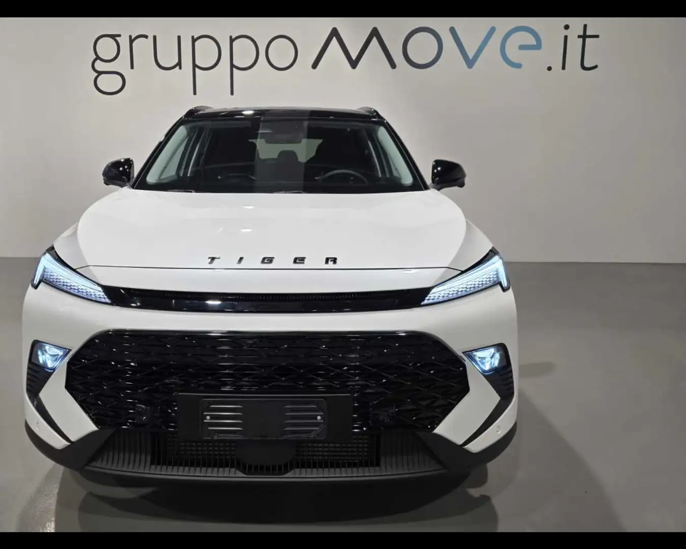 Sonstige Sonstige 1.5T-GDI 7DCT 177CV GPL Weiß - 2