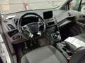 Ford Tourneo 1.Hand/1 Jahr Garantie/TÜV NEU 55 kW (75 PS), S... Weiß - thumbnail 9