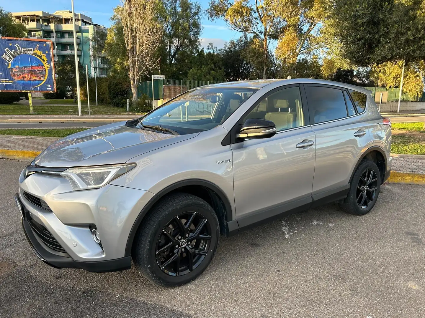 Toyota RAV 4 Rav4 IV 2016 Rav4 2.5 Active 2wd Hybrid Grigio - 2