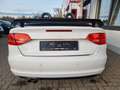 Audi A3 Cabriolet S line Sportpaket / plus Wit - thumbnail 6
