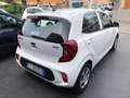 Kia Picanto 1.0 Gpl 67cv 5p PREZZO REALE Bianco - thumbnail 5
