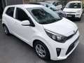 Kia Picanto 1.0 Gpl 67cv 5p PREZZO REALE Bianco - thumbnail 6