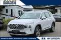 Hyundai SANTA FE Santa Fe 2.2 CRDi Trend 4WD Autom./Navi/LED/AHK BC Blanc - thumbnail 1