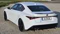 Lexus IS F IS 500 Performance Weiß - thumbnail 3