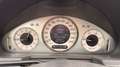 Mercedes-Benz E 270 E 270 Avantgarde CDI Sequentronic Avantgarde Blau - thumbnail 12