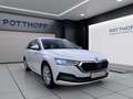 Skoda Octavia Combi 2.0 TDI STYLE NAVI AHK KLIMA PDC Weiß - thumbnail 6