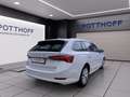Skoda Octavia Combi 2.0 TDI STYLE NAVI AHK KLIMA PDC Weiß - thumbnail 5