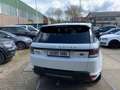 Land Rover Range Rover Sport 4.4 SDV8 Autobiography leer/pano/trekhaak/koelkast Bianco - thumbnail 5