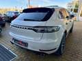 Porsche Macan Macan 2.0 245cv pdk Tetto Sospensioni Gris - thumbnail 4